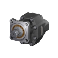 30-55 GEAR PUMP BI-ROTATIONAL ISO - 