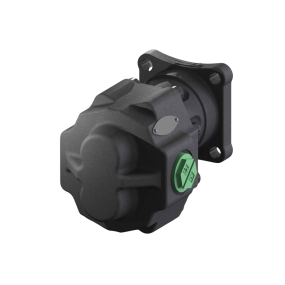 30-82 GEAR PUMP BI-ROTATIONAL ISO - 2