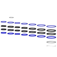 GHS 197-8 SEAL KIT C-H - 